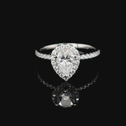 Pear Halo